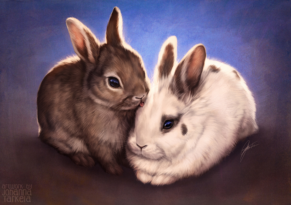 Dibujos para colorear de Conejos